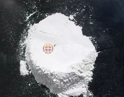 消毒、解毒、殺菌、消炎傻傻分不清？那就別隨便在龜身上用“漂白粉”！