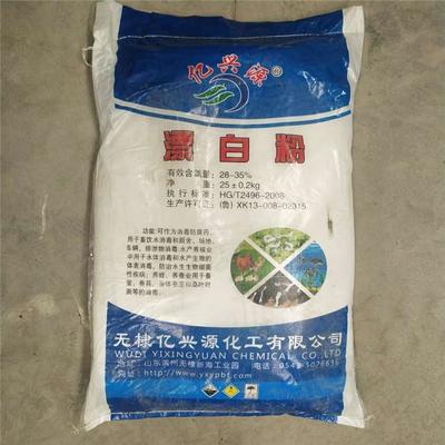 漂白世界的力量 漂白精與漂白粉的全方位解析